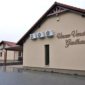 Vincze Vendeghaz Otel Kiskunhalas Exterior photo