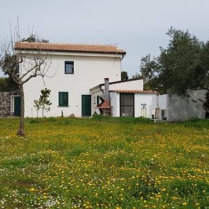 Casa Matilda - Abbasanta - Sardegna - Iun R4877 Daire Exterior photo