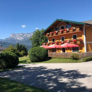 Pension David Otel Puch bei Hallein Exterior photo