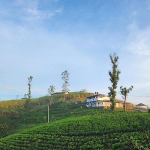 Tranquil Ridge Hilltop Bungalow Bed & Breakfast Hatton Exterior photo