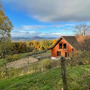 Wunderschoenes Gaestehaus Mit Grandioser Aussicht Daire Gempen Exterior photo