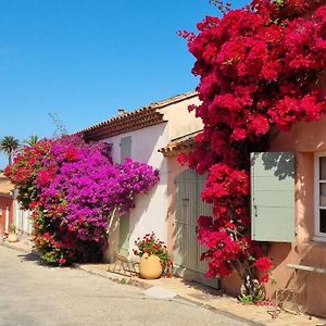 Porquerolles - La Porquerollaise Villa Exterior photo