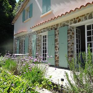 Magnifique Maison Avec Piscine Sans Vis A Vis 4 Chambres Et 1 Mezzanine Dans Un Milieu Verdoyant Saint-Jean-du-Gard Exterior photo