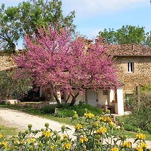 Agriturismo Timignano Daire Monteguidi Exterior photo