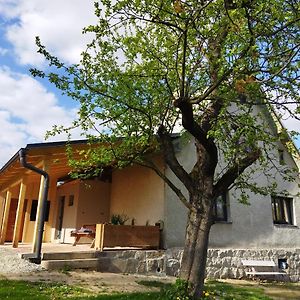 Ubytovani V Sadu Daire Stara Cervena Voda Exterior photo