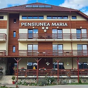 Pensiunea Maria Otel Gilău Exterior photo