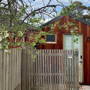 Stylish Geelong Cabin - Your Home Away From Home Belmont Exterior photo