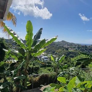 Tranquility With Stunning View Daire Morne Jaloux Ridge Exterior photo