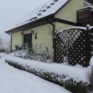 Fewo-Schmidt-Im-Erzgebirge Daire Gelenau Exterior photo