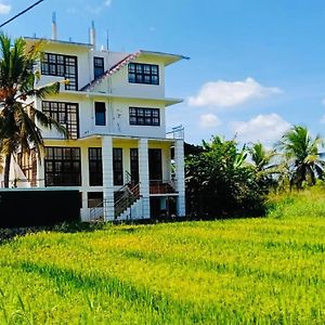 Freedom Of Green Rice View Otel Anuradhapura Exterior photo