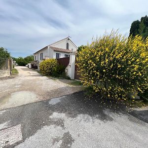 Le Chalet De Lou Daire Sarrians Exterior photo