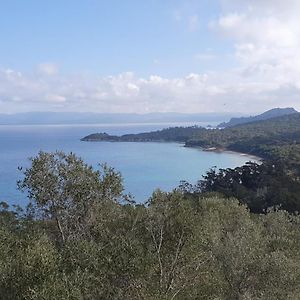 Porquerolles - Nuit Insolite A Bord Du Defi Fou Otel Exterior photo