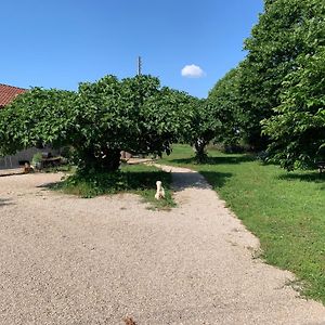 Gite La Longere Bleue Villa Caylus Exterior photo