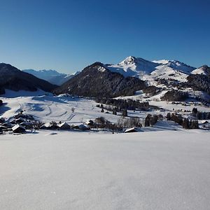 Les Montagnes Daire Bellevaux Exterior photo