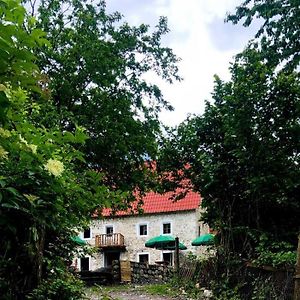 Guesthouse Kujtimi Theth Exterior photo