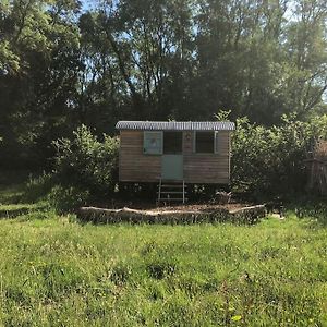 The Shepherd'S Hut Daire Whiteparish Exterior photo