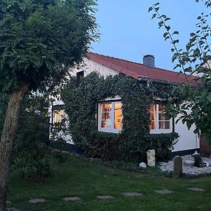 Idyllische Gaestehaus Im Gruenen Daire Altenstädt Exterior photo