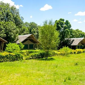 Giraffe Hills Mara Camp Otel Maasai Mara Exterior photo