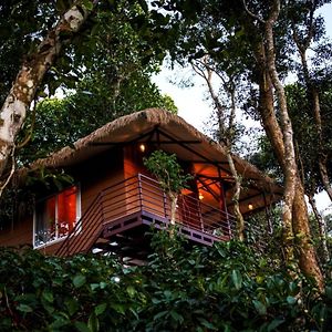 Coffee Cradle Wayanad Luxuorios Private Tree House - Inside 2 Acre Coffee Plantation Otel Mananthavady Exterior photo