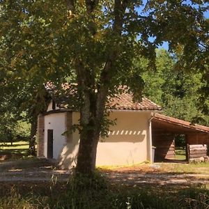 Eco-Gite En Pleine Nature Daire Lisle-sur-Tarn Exterior photo