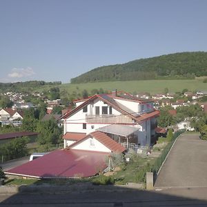 Mueller'S Talblick Daire Deggingen Exterior photo