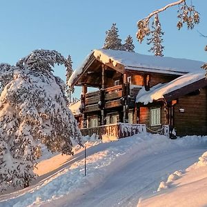 Pet Friendly Home In Nissedal With Wifi Kyrkjebygdi Exterior photo