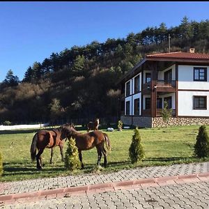 Mengen Rueya Ciftligi Otel Babahizir Exterior photo