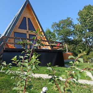 Carpatina Rustic House Otel Runcu  Exterior photo