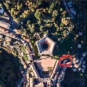 Farnese View: In The Shadow Of The Palazzo Farnese Daire Caprarola Exterior photo