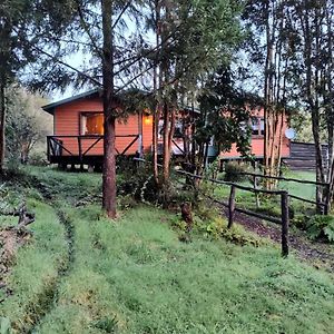 Casa O Habitacion En Carretera Austral Konuk evi Puerto Montt Exterior photo