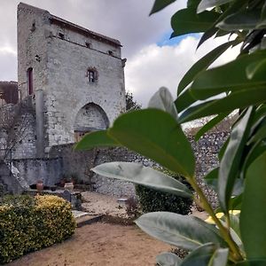 La Maison Du Prince De Conde Otel Charroux-dʼAllier Exterior photo