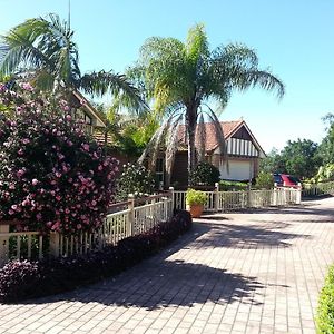 Tranquil Garden Hideaway Daire Ormeau Exterior photo