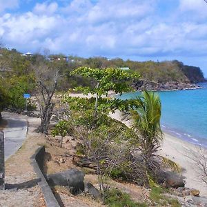 Villa De 2 Chambres A Deshaies A 400 M De La Plage Avec Jacuzzi Terrasse Et Wifi Exterior photo