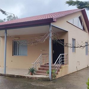 Pink Quest House Daire Lenkeran Exterior photo