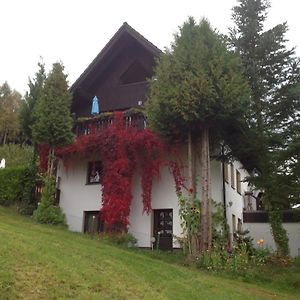 Waldblick Daire Tannenberg Exterior photo