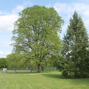 Gite Spacieux En Pleine Nature Avec Grand Jardin, Activites Exterieures, Proche Sites Historiques Et Commerces - Fr-1-591-185 Villa Sarzay Exterior photo