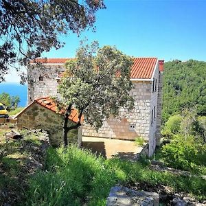 Apartments With A Parking Space Babino Polje, Mljet - 22323 Exterior photo