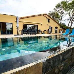 Villa Piscine Miroir Et Jacuzzi Saint-Bauzille-de-Montmel Exterior photo