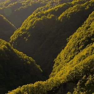 Wild Valley Ticino Vista In Valle Onsernone Daire Auressio Exterior photo