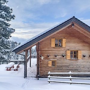 1A Chalet Koralpenzauber -Ski Fahren, Sauna Und Traumblick Villa Wolfsberg Exterior photo