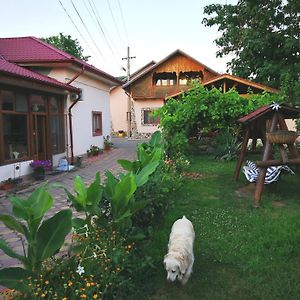 Vila Speranta Otel Pleşcoi Exterior photo