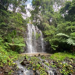 Nimbin Waterfall Retreat Otel Exterior photo