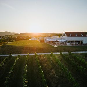 Weinblick & Weingut Grafinger Otel Senftenberg Exterior photo