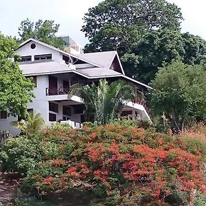 The Nest Tobago Apartments Buccoo Exterior photo