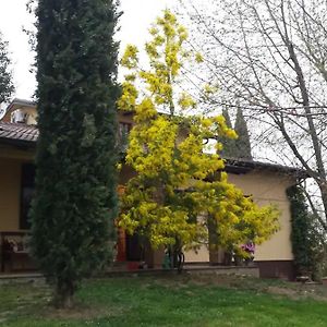 Villa Mimosa Medesano Exterior photo
