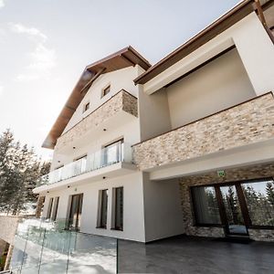 Sali Chalet - Villa In Muntii Apuseni Băișoara Exterior photo