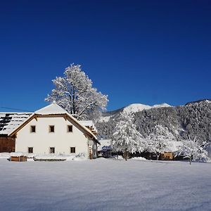 Ferien Am Land - Waldbauer Daire Rossleithen Exterior photo