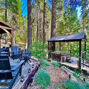 Cabin In The Trees - Hot Tub Villa Pollock Pines Exterior photo