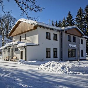 Penzion Apidae Otel Destne v Orlickych horach Exterior photo