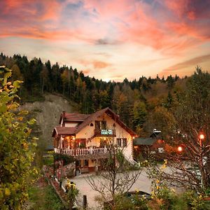 Doğa Köşkü Abant Bungalow Evleri Bed & Breakfast Bolu Exterior photo